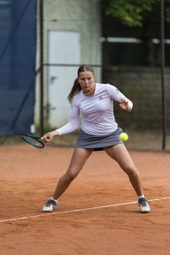 Bild 245 - BL DTV Hannover - BW Dresden Blasewitz : Ergebnis: 2:7